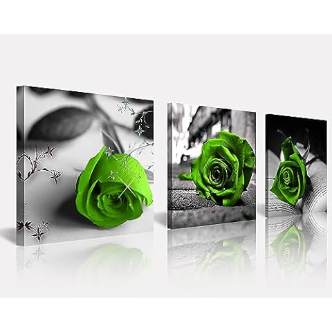 NAN Wind Canvas Print 3 Pcs Black and White Green Rose Canvas Art Abstract Wall Art Decorations Flower Picture on Canvas for Home Decor Valentines Gift Stretched And Framed 20X20inches Cover