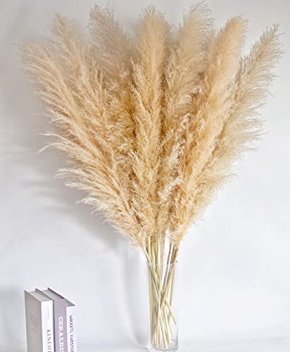 Image of 46 inch inch 10 Stems Natural Pampas Grass Decor Tall, Pompas Grass, Tall Pampas Grass for Weddingm, Farmhouse, Boho Home Decor (Ivory)