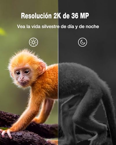 Cámara con detección de movimiento