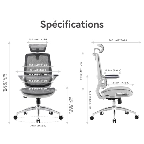 SIHOO M59AS Chaise de Bureau Ergonomique, avec accoudoirs 3D relevables, Double Dossier, Soutien Lombaire Dynamique adaptatif et Maille, idéale pour Le Bureau à Domicile.