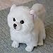 Symulacja psa Bichon pluszowa zabawka dla psa super słodki corgi pluszowy pies lalka maltańska zabawka dla szczeniaka 28x13x24