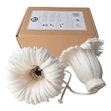 Plawanature Juego de 2 difusores de flores de madera de 4.5 pulgadas con mecha de algodón con varillas de alambre para una elegante decoración interior de hotel.