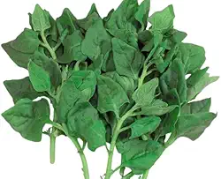 Sementes de Hortaliças, Variedades Diversas, Monte seu Kit Personalizado (Espinafre Nova Zelândia 5 Sementes)