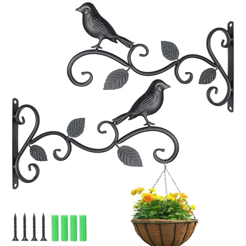Zillary 2 Pezzi Staffe per Cesto Appese, Ganci da Parete per Pianta, Ganci per Fioriera Parete, Cesto Sospeso Staffe per Fiori, per Fioriere, Lanterne, con 4 Viti, 4 Tubi di Espansione