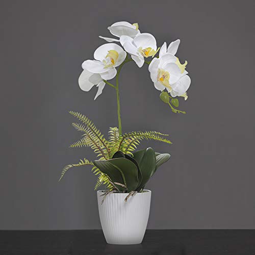 Olrla White Orchid Artificial Flower in Pot, 16 inch Faux Phaleanopsis Orchid Bonsia for Office Home Wedding Party Indoor Table Decor (White 1) - image 6