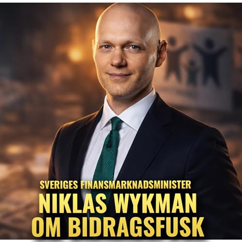 Finansmarknadsminister Niklas Wykman om pengatv&auml;tt och bidragsfusk