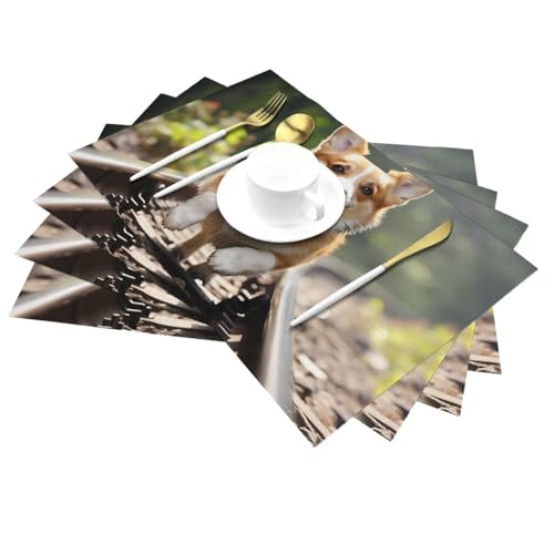 Napperons tissés en PVC pour repas en terrasse set de table Corgi antidérapant résistant aux taches - 5