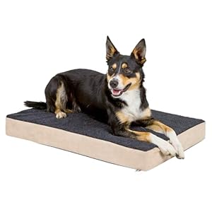KERBL Matelas à Mémoire de Forme pour Chiens 100 X 60 X 8 cm, Noir