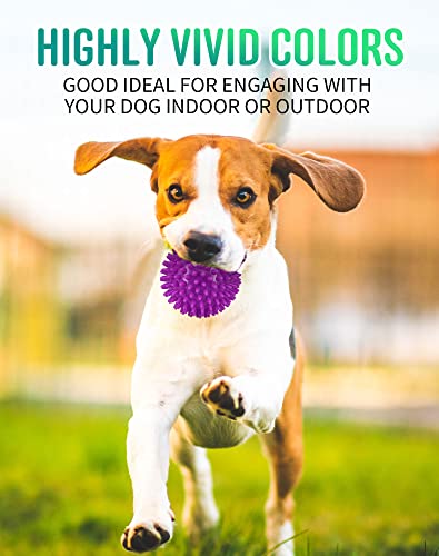 2.5" Squeaky Dog Balls For Small Medium Dogs, 6 Pack Small Dog Chew Toys With Spike, Puppy Toys For Teeth Cleaning And Training #TOP3