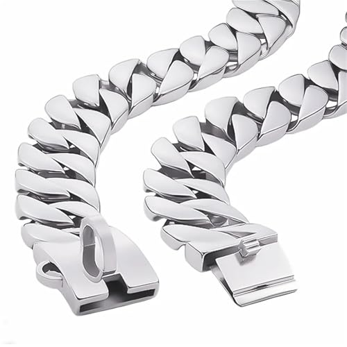 Collier de chien en métal doré pour sublimer le style de votre compagnon