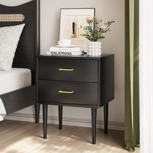 Amazon.com: Semiocthome Modern Black Nightstand with 2 Drawers & Glod ...