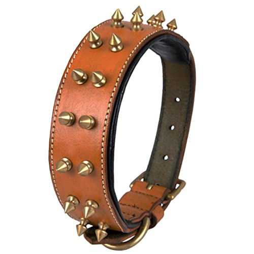 DowgClub, Brown - Gold Spikes, M (Fit Neck Size 14.5"-18.5") - Image 3