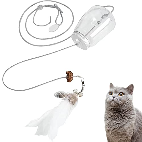 Jocaluyia 6PCS Replacement Feathers, for Smart Interactive Cat Toy Magic Box Ambush Funny Cat Feather Magic Box (Feather)