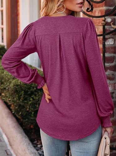 BETTE BOUTIK Long Sleeve Shirts for Women Fall Tops Dressy Blouses Pleated V Neck Tunic Tops for Leggings S-3XL