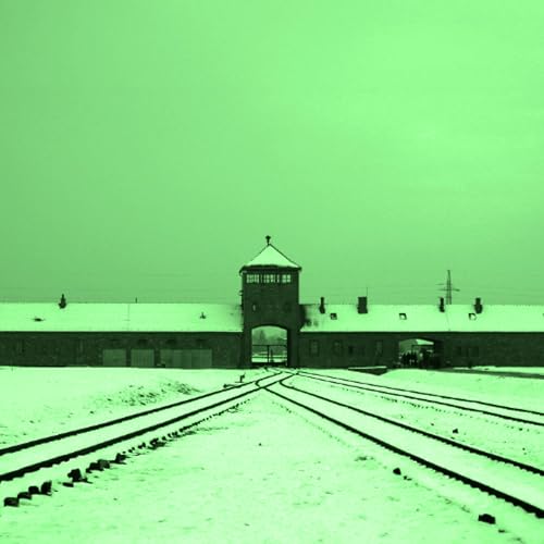 The Nazi Experiment, Vol. 7: The Nazi Rejection of Paperwork Germans
