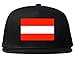 Kings Of NY Austria Flag Country Printed Snapback Hat Cap Black