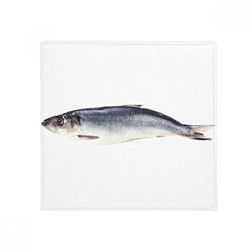 Tapis de sol poisson multicolore 60cm : l'idée cadeau déco pour la maison
