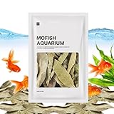 Wasseraufbereitende Blätter – ruhendes Longan-Fischblatt, natürliches Aquarium-Dekorationszubehör, organisches wasseraufbereitendes botanisches Blattset, getrocknetes Longan-Blatt-Aquarium-Behandlungs
