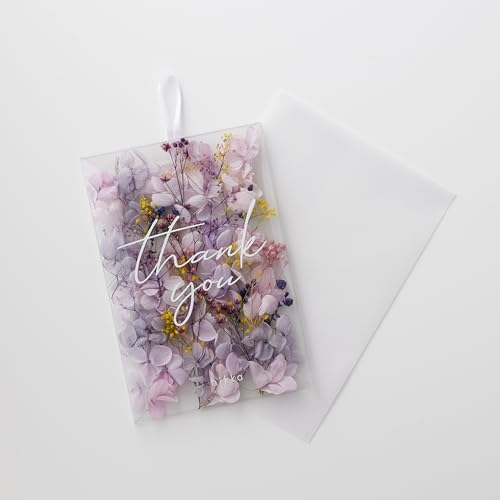 hikkaiqbJjyKizbZ[WJ[h Ԃт Thank youbZ[Wip[vj t ͂Ȃ sv { vU[uht[ hCt[ Mtg v[g  ̓ Ki