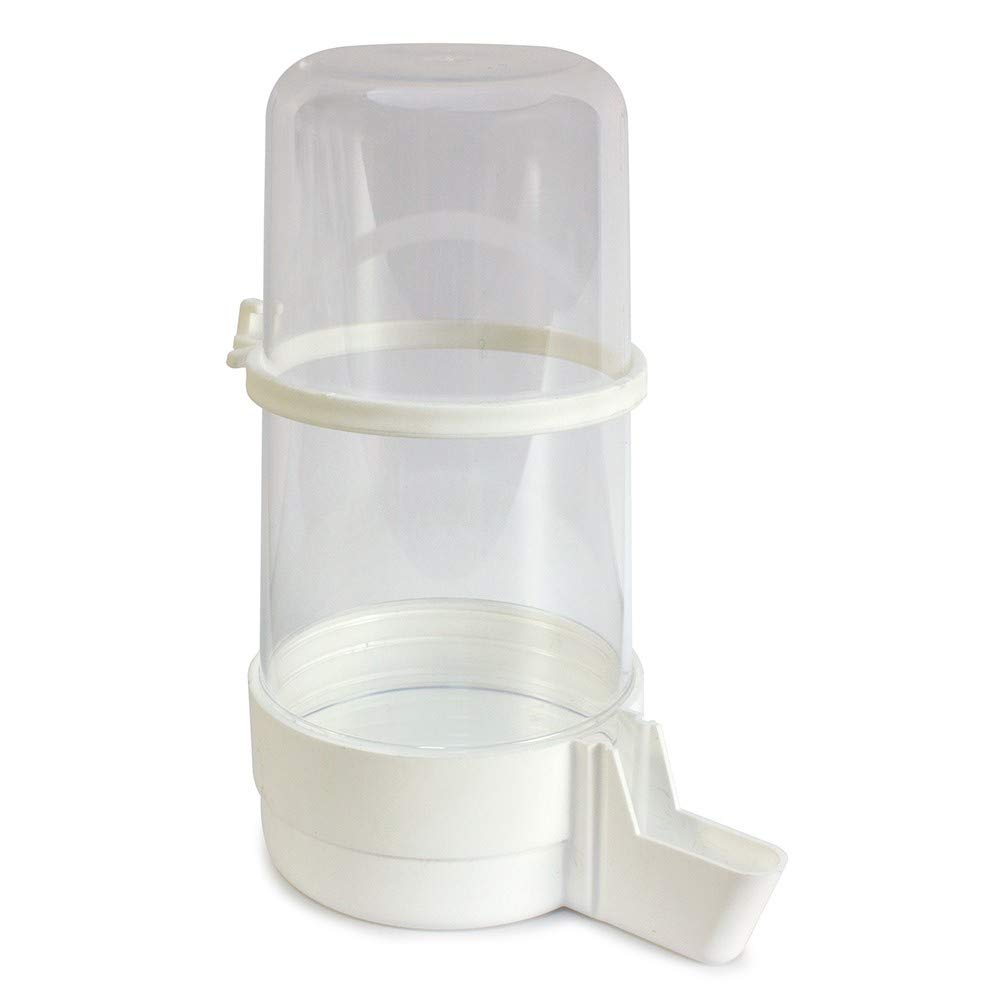 Arquivet Abreuvoir Oiseaux 4 avec Anneau - 3