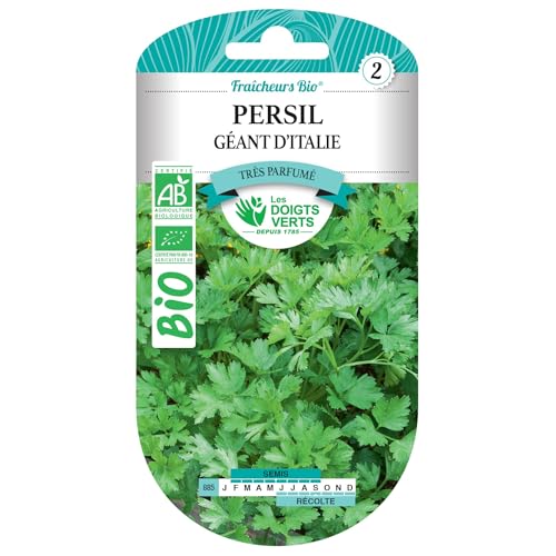 Graines persil géant d'Italie BIO Les Doigts Verts