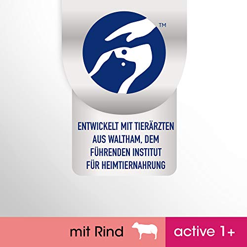 Perfect Fit Active 1+ – Trockenfutter für erwachsene, aktive Katzen ab 1 Jahr – Reich an Rind – Unterstützt die Vitalität – 4 x 1,4 kg