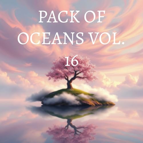  Ocean 411