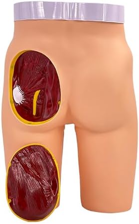 Buttock Injection Practice Model - Medical Teaching Tool for Injection Training Exercises, 3 Methods, Detailed & Realistic for Medical Students/Nurses