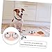 VICASKY Stainless Steel Pet Bowl and Water Feeder Non-Slip Base Easy to Clean Durable Cat and Dog Feeding Dish for Food and Water Suitable for All Pets