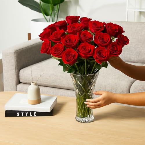 Aquarossa Farms – Flowers for Delivery, Fresh Flowers Bouquet, Handpicked from the Farm, Gift for Birthday, Anniversary, or Just Because – 24 Fresh Roses - Image 3