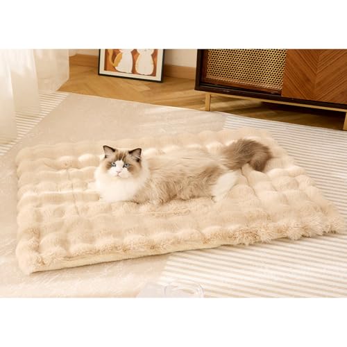 [ADSNS] ybgxbh ybgѕz ybgzc ybg}bg J[3 L }bg 70*50 }bg ѕz uPbg xbh dCgȂ h ~ }bg ~p 􂦂 ӂӂ lRxbh ˂    