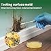 Mold Test Kit for Home - 6 Simple Mold Test kit,Test HVAC System,Surfaces & Indoor Air Quality,DIY Mold Detector at Home,Includes Detailed Mold Identification Guide,air Tester
