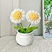 Rimvoe 3pcs Crochet Flower Pot, Daisy Tulips and Forget Me Not Small Potted Flowers, Gifts for Mom Wife on Mothers Day Valentines, Cute Desk Decor for Women Office Car Dashboard