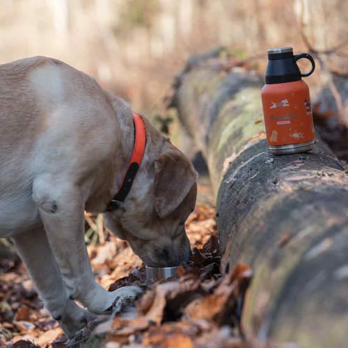 Pawbottle® Thermoflasche mit 2 Näpfen – Trinkflasche für Hunde & Katzen (960 ml + 2×100 ml, Orange) + Schnellverschlussdeckel geschenkt