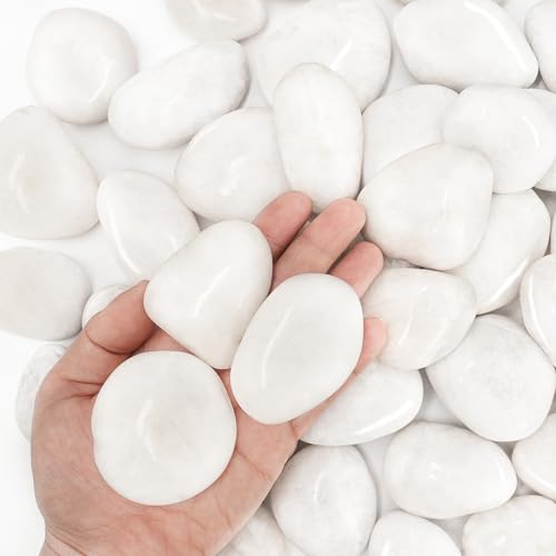 BIOMAND 18lb White River Rocks for Plants, 1-3 Inch Pebbles for Indoor Plants, Polished Garden Rocks Outdoor Landscaping, Decorative Stones for Vases, Succulents, Aquarium, Walkways
