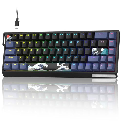 Typehaven SK68 65% Gaming Keyboard, Wired Backlit Mini Keyboard w/100% Hot-Swap Socket 68 Keys Aluminum Gaming Wired Keyboard for PC Laptop Game