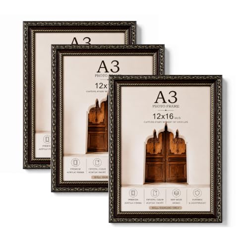 Image of AbhiKalpya Art Studio A3 Photo Frame 12x18 inch Acrylic Front (Set of 3) (Decorative)