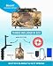 Skywin Toy for Play Games - Remote Control Included for Plastic, Image 2 Skywin Toy for Play Games - Remote Control Included for Plastic, Image 2