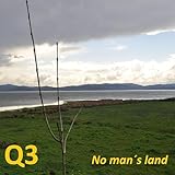 Q3