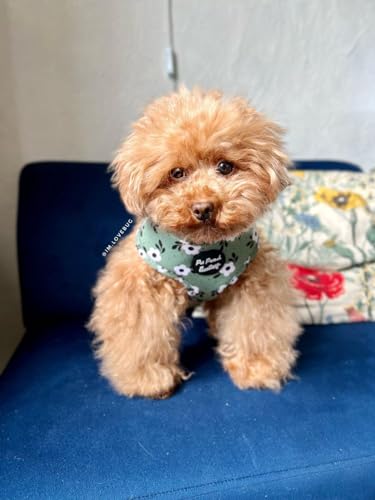 Green Meadow Daisy Dog Harness S, small - Image 2