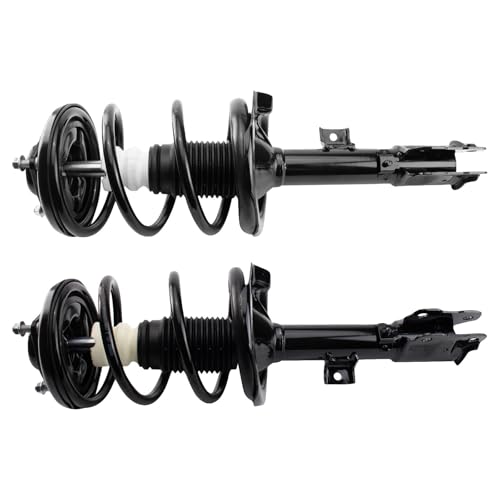 Image of TRQ Front Driver and Passenger Side Strut and Spring Assembly Set Loaded