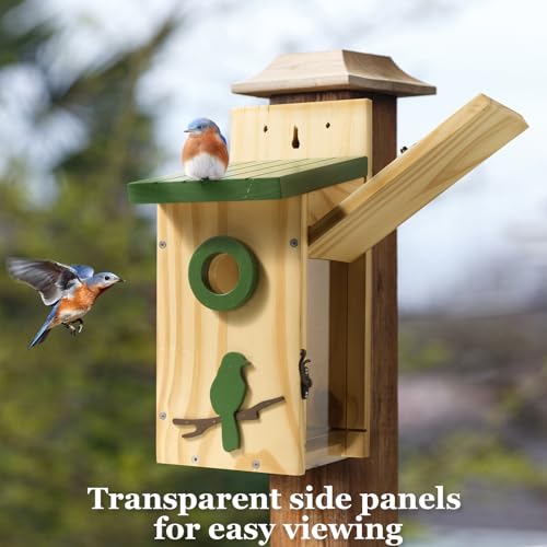 Kingsyard KY16USKYBH104CP01A01 Classic Bird House For Outside thumb #4