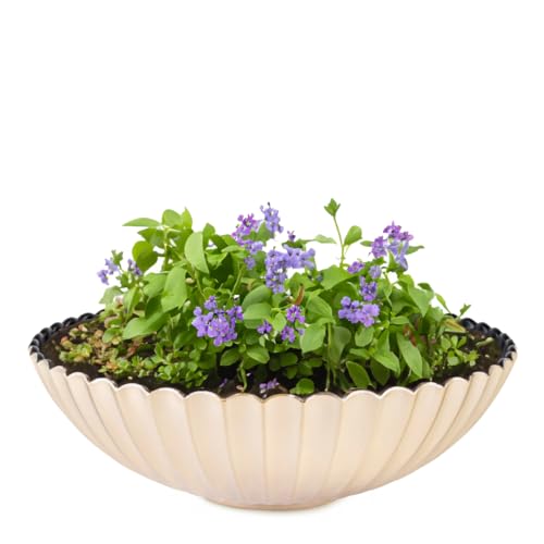matches21 Pflanzschale für draußen - 28 cm große Dekoschale Champagner Gold geriffelt als Blumentopf Pflanztopf - runde Blumen-Schale für Garten, Balkon oder Friedhof als Grabschale