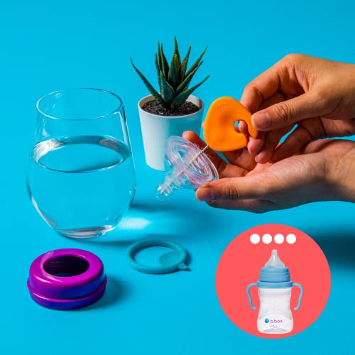 B.box - Set di 5 pennelli per la pulizia di