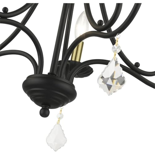 Livex Lighting, 40875-04, Daphne, Chandelier, Black with Antique Brass Finish Accents by Livex - Image 8