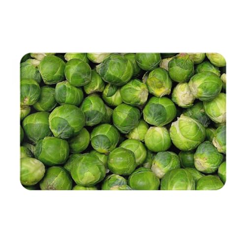 YOFIEN Alfombras de baño con Estampado de Coles de Bruselas Verdes, tapete para Puerta, Felpudo Interior Antideslizante Lavable, 24x16 Pulgadas