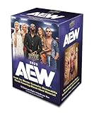 2025 Upper Deck AEW Wrestling Trading Cards Blaster Box