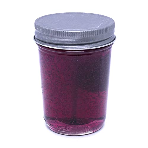 Black Raspberry Vanilla Inspired Scented Up To 90 Hours Classic Jar Candle Mineral Oil Based By The Gel Candle Company #TOP2