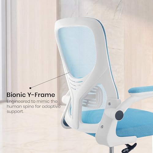 Image of Casa Copenhagen Blue White | Mid Back Imported Mesh Fabric Boss Office Chair | Y Design Ergonomic Back Support | 2D Aero Design Adjustable Armrests | Synchro Tilt Lock Mechanism Support
