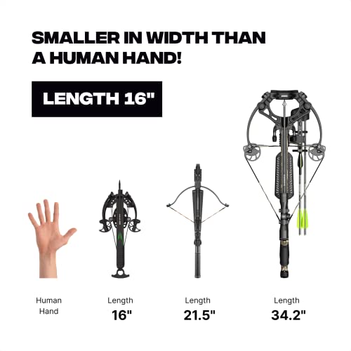 Ballista Bat Compound Mini Crossbow, Self-Cocking With One Hand Small Crossbow For Hunting, Fishing And Target For Adults And Youth - Fast 330Fps, Powerful 130Lbs, Lightweight 2.46Lbs #TOP3